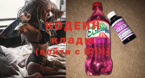 индика Балахна