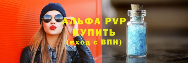 индика Балахна