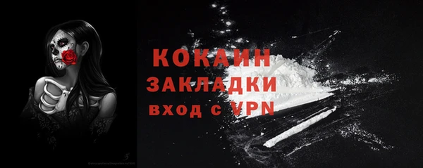 индика Балахна