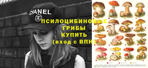 индика Балахна
