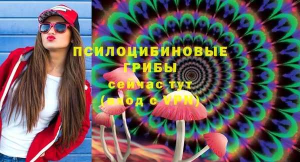 индика Балахна